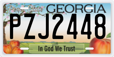 GA license plate PZJ2448