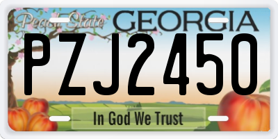 GA license plate PZJ2450