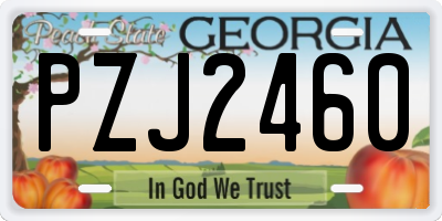 GA license plate PZJ2460