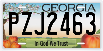 GA license plate PZJ2463