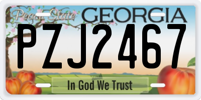 GA license plate PZJ2467