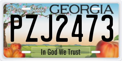 GA license plate PZJ2473