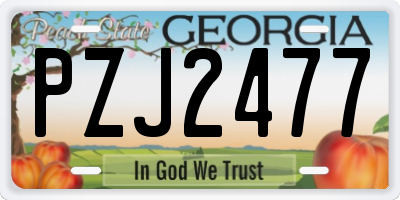 GA license plate PZJ2477