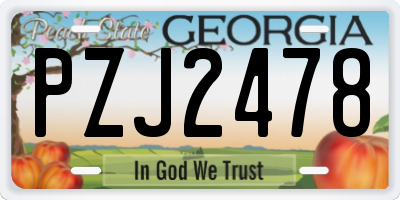 GA license plate PZJ2478