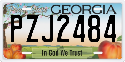 GA license plate PZJ2484