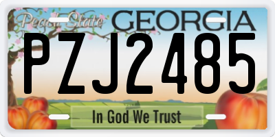 GA license plate PZJ2485
