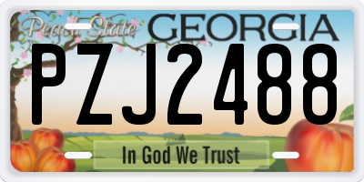 GA license plate PZJ2488