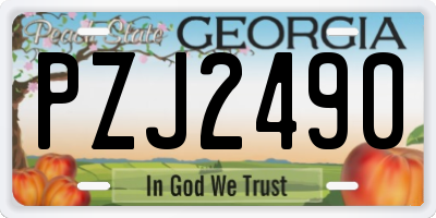 GA license plate PZJ2490