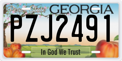 GA license plate PZJ2491