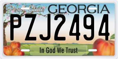GA license plate PZJ2494