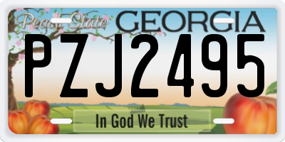 GA license plate PZJ2495