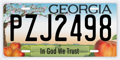 GA license plate PZJ2498
