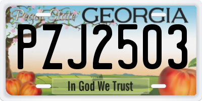 GA license plate PZJ2503