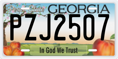 GA license plate PZJ2507