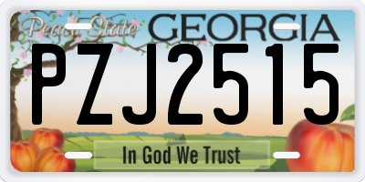 GA license plate PZJ2515