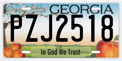 GA license plate PZJ2518