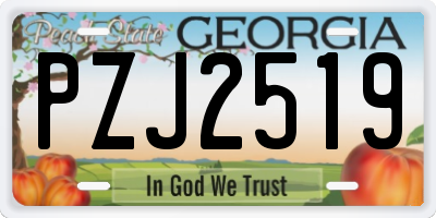 GA license plate PZJ2519