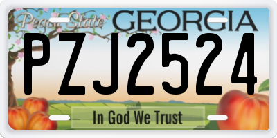 GA license plate PZJ2524