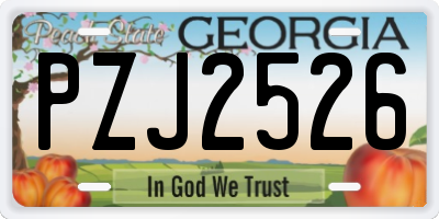 GA license plate PZJ2526