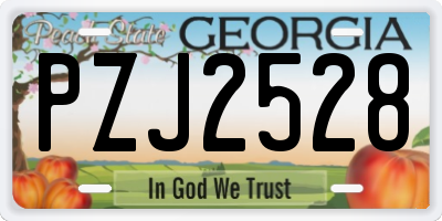 GA license plate PZJ2528