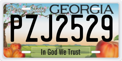 GA license plate PZJ2529