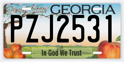 GA license plate PZJ2531