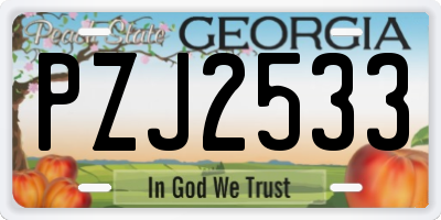 GA license plate PZJ2533