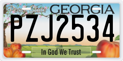 GA license plate PZJ2534