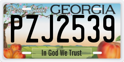 GA license plate PZJ2539