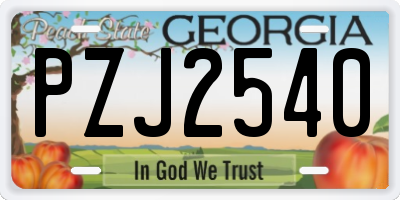 GA license plate PZJ2540