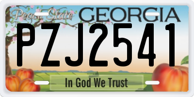 GA license plate PZJ2541