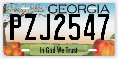 GA license plate PZJ2547
