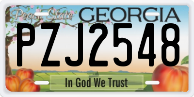 GA license plate PZJ2548