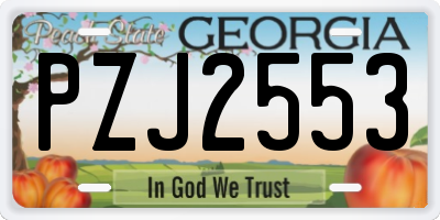GA license plate PZJ2553