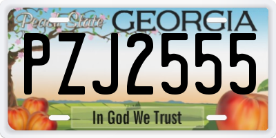GA license plate PZJ2555