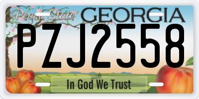 GA license plate PZJ2558