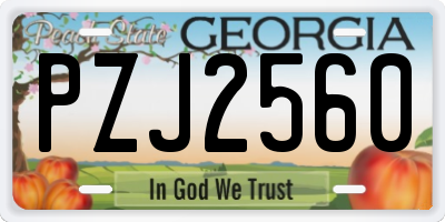 GA license plate PZJ2560