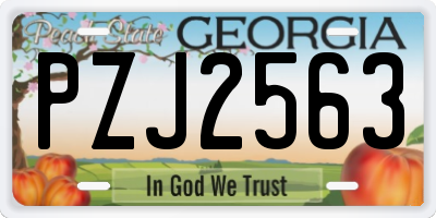 GA license plate PZJ2563