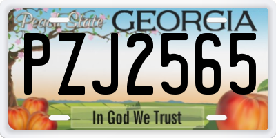 GA license plate PZJ2565