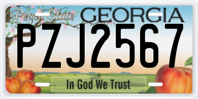 GA license plate PZJ2567