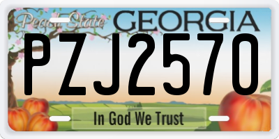 GA license plate PZJ2570