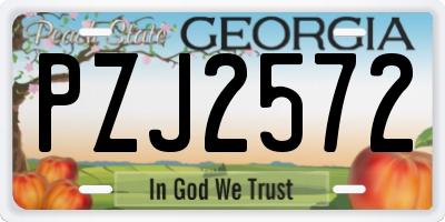 GA license plate PZJ2572