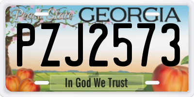 GA license plate PZJ2573