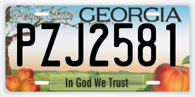GA license plate PZJ2581