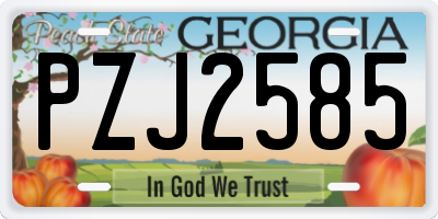 GA license plate PZJ2585