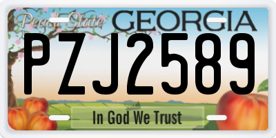 GA license plate PZJ2589