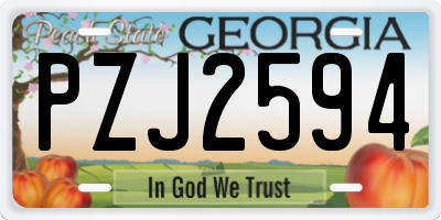 GA license plate PZJ2594