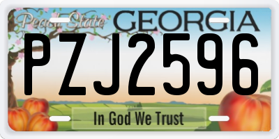 GA license plate PZJ2596