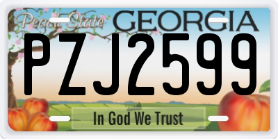GA license plate PZJ2599
