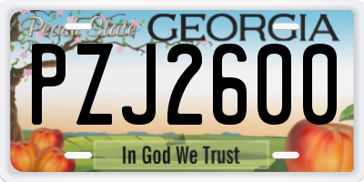 GA license plate PZJ2600